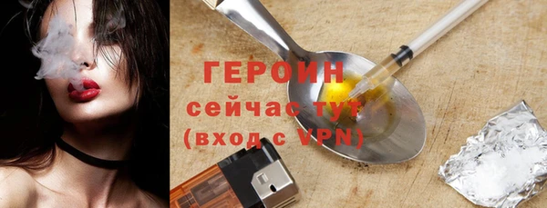 гашик Козельск
